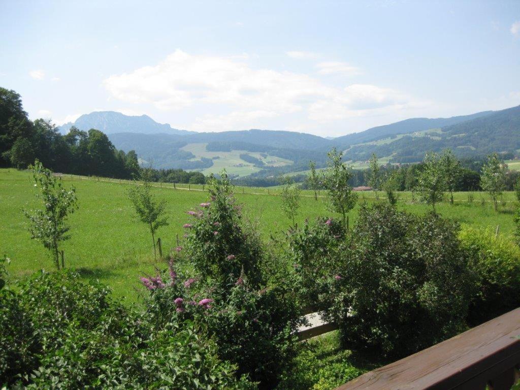 Obermoarhof Apartment Ангер Екстериор снимка